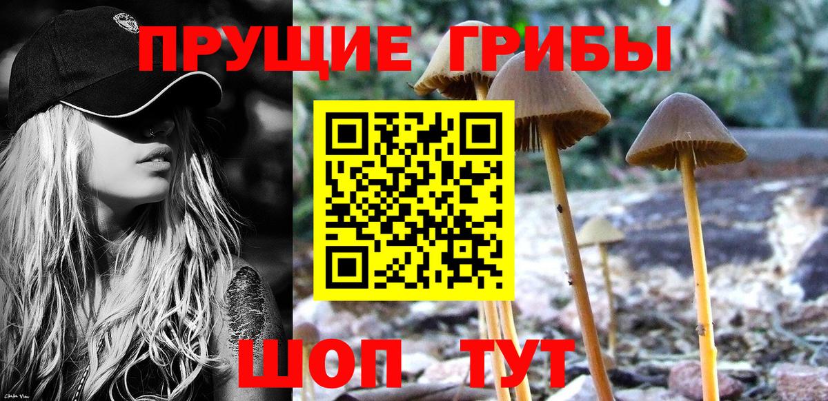 Воткинск  Псилоцибиновые грибы GOLDEN TEACHER  Вход с VPN  Галлюциногенные грибы ЛСД 